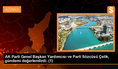 AK Parti Genel Başkan Yardımcısı ve Parti Sözcüsü Çelik, gündemi değerlendirdi: (1)